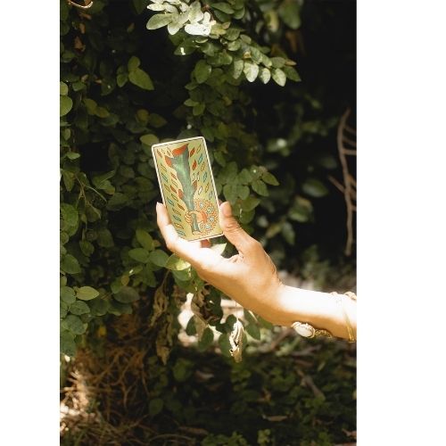 Tarot Evolutivo